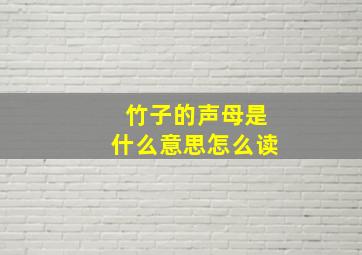 竹子的声母是什么意思怎么读