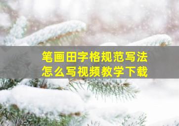 笔画田字格规范写法怎么写视频教学下载