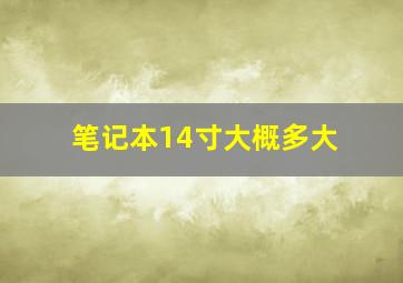 笔记本14寸大概多大