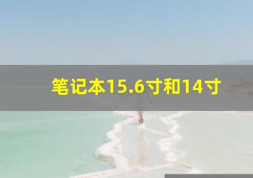 笔记本15.6寸和14寸