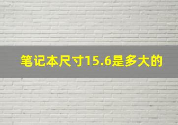 笔记本尺寸15.6是多大的