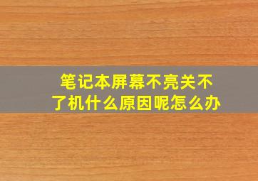 笔记本屏幕不亮关不了机什么原因呢怎么办