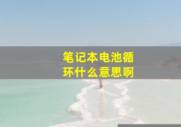 笔记本电池循环什么意思啊