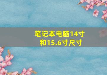 笔记本电脑14寸和15.6寸尺寸