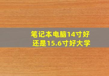 笔记本电脑14寸好还是15.6寸好大学