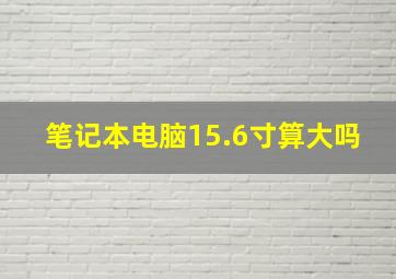 笔记本电脑15.6寸算大吗