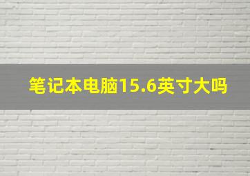 笔记本电脑15.6英寸大吗