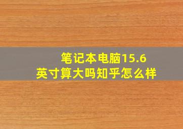 笔记本电脑15.6英寸算大吗知乎怎么样