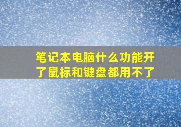 笔记本电脑什么功能开了鼠标和键盘都用不了