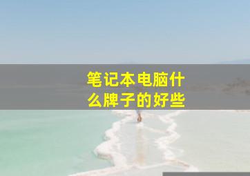 笔记本电脑什么牌子的好些