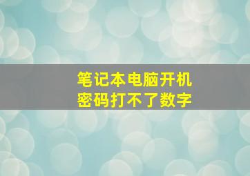 笔记本电脑开机密码打不了数字