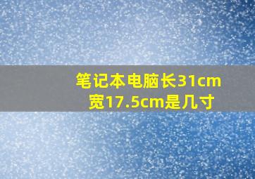 笔记本电脑长31cm宽17.5cm是几寸