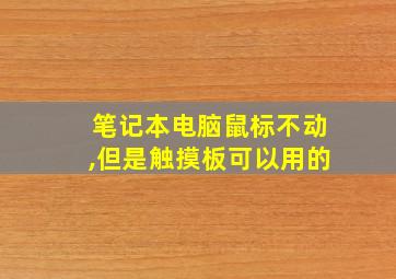 笔记本电脑鼠标不动,但是触摸板可以用的