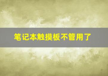 笔记本触摸板不管用了