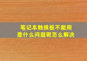 笔记本触摸板不能用是什么问题呢怎么解决