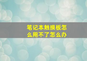 笔记本触摸板怎么用不了怎么办