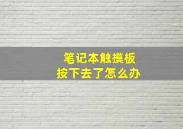 笔记本触摸板按下去了怎么办