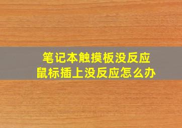 笔记本触摸板没反应鼠标插上没反应怎么办