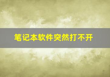 笔记本软件突然打不开