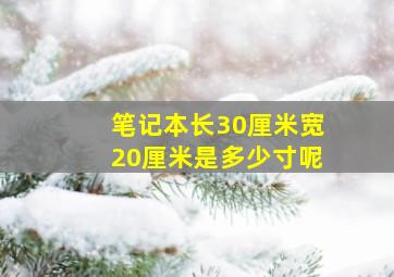 笔记本长30厘米宽20厘米是多少寸呢