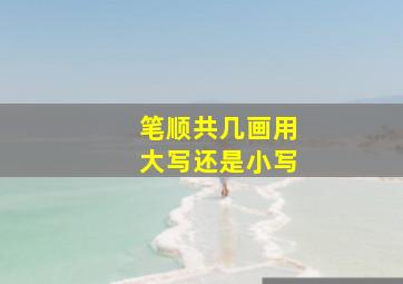 笔顺共几画用大写还是小写