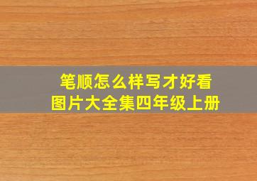 笔顺怎么样写才好看图片大全集四年级上册