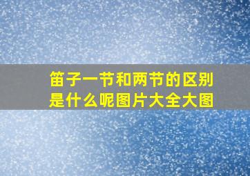 笛子一节和两节的区别是什么呢图片大全大图