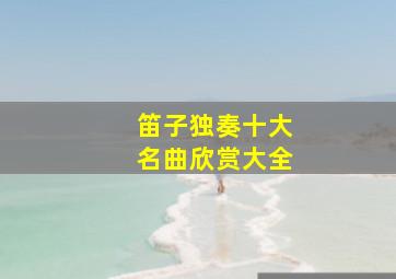 笛子独奏十大名曲欣赏大全