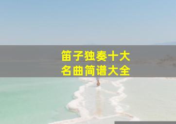 笛子独奏十大名曲简谱大全