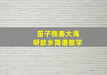 笛子独奏大海呀故乡简谱教学