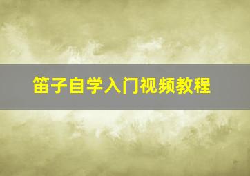 笛子自学入门视频教程