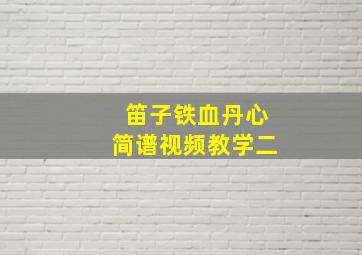 笛子铁血丹心简谱视频教学二