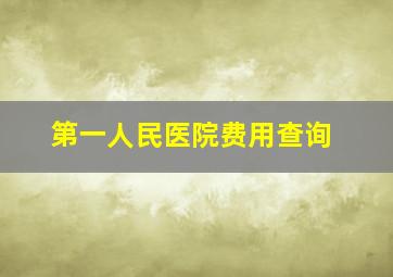 第一人民医院费用查询