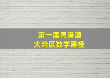 第一届粤港澳大湾区数学建模