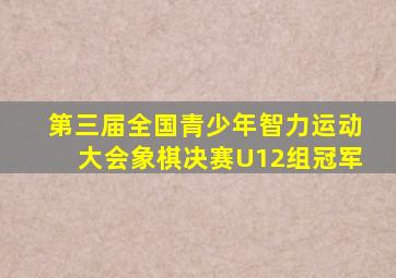 第三届全国青少年智力运动大会象棋决赛U12组冠军