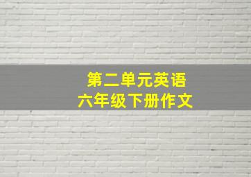 第二单元英语六年级下册作文