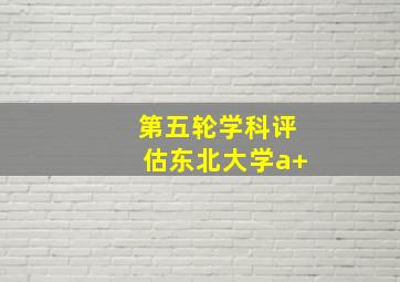 第五轮学科评估东北大学a+