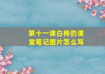 第十一课白桦的课堂笔记图片怎么写