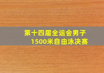 第十四届全运会男子1500米自由泳决赛