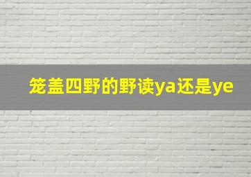 笼盖四野的野读ya还是ye