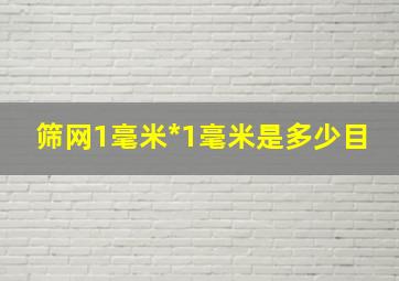 筛网1毫米*1毫米是多少目