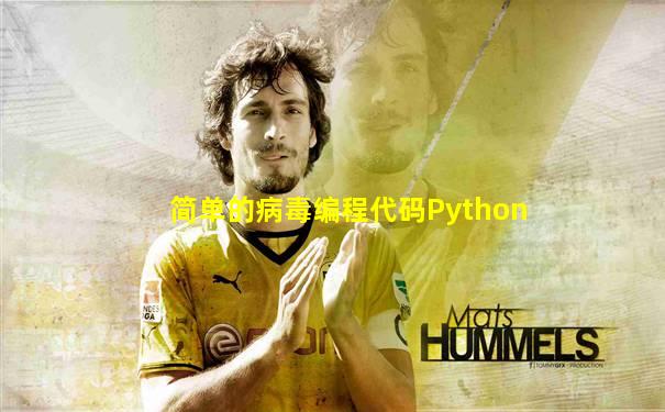 简单的病毒编程代码Python