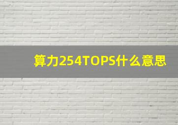 算力254TOPS什么意思