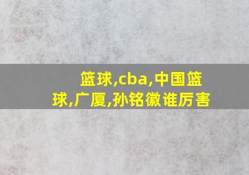 篮球,cba,中国篮球,广厦,孙铭徽谁厉害