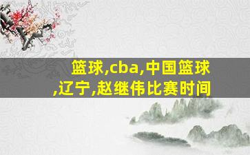 篮球,cba,中国篮球,辽宁,赵继伟比赛时间