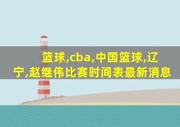 篮球,cba,中国篮球,辽宁,赵继伟比赛时间表最新消息