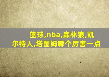 篮球,nba,森林狼,凯尔特人,塔图姆哪个厉害一点