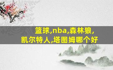 篮球,nba,森林狼,凯尔特人,塔图姆哪个好