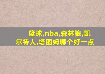 篮球,nba,森林狼,凯尔特人,塔图姆哪个好一点