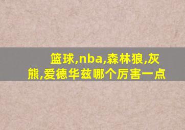 篮球,nba,森林狼,灰熊,爱德华兹哪个厉害一点